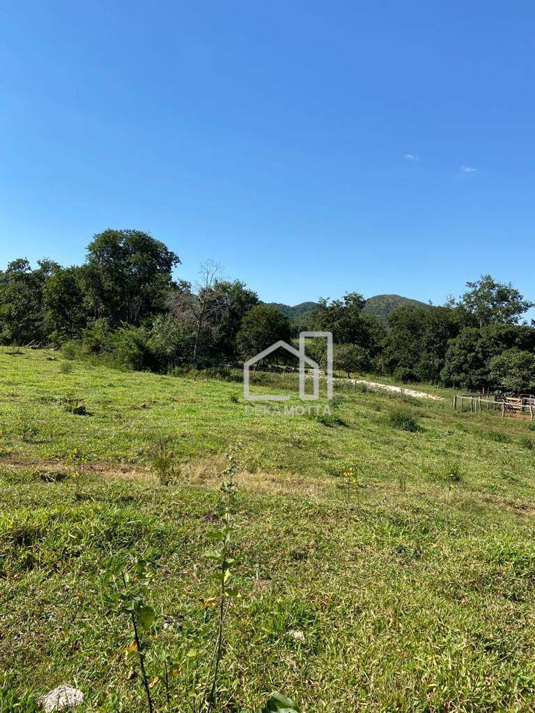 Fazenda à venda com 3 quartos, 21217700000M2 - Foto 32