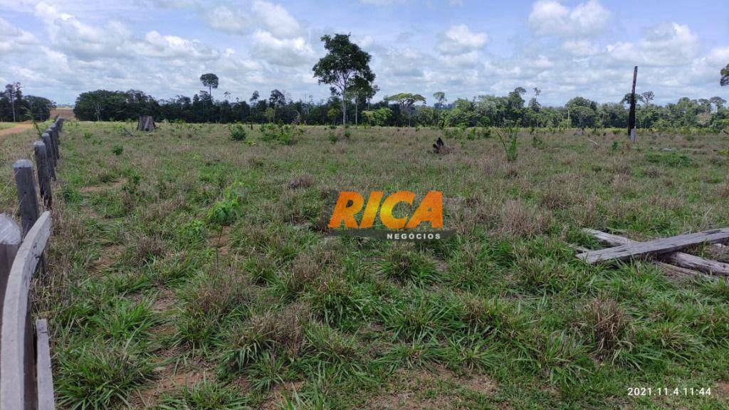 Fazenda à venda com 4 quartos, 1400000M2 - Foto 19