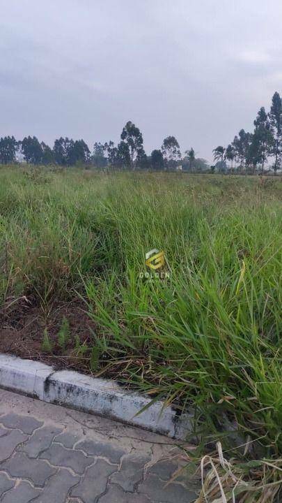 Terreno à venda, 290M2 - Foto 1