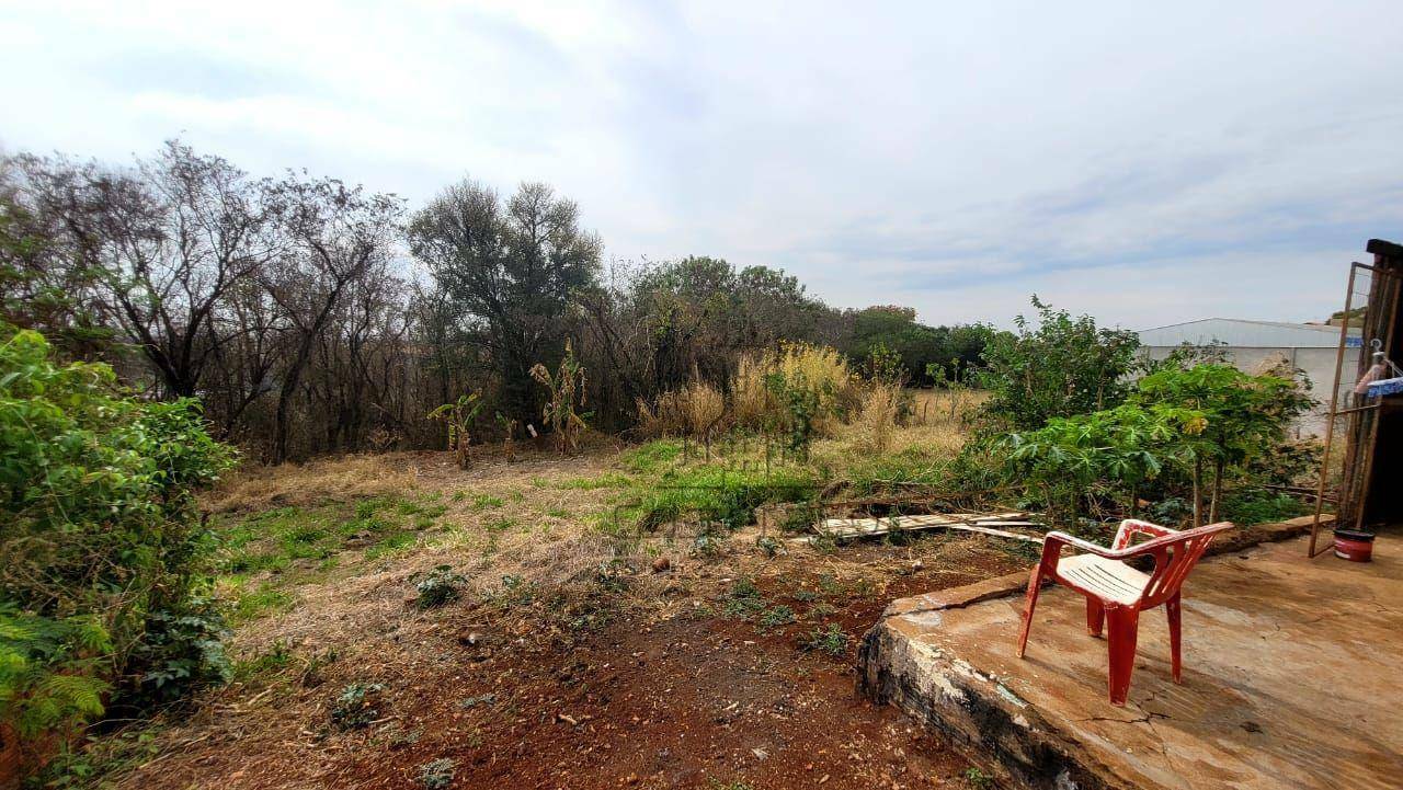 Chácara, 3 hectares - Foto 2