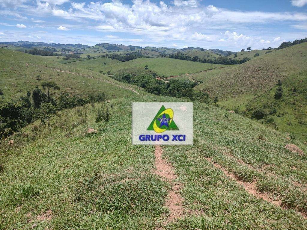 Fazenda à venda, 1060000M2 - Foto 11