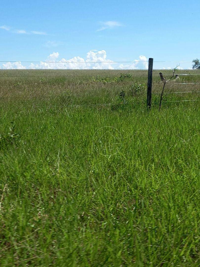 Fazenda-Sítio-Chácara, 1161 hectares - Foto 2