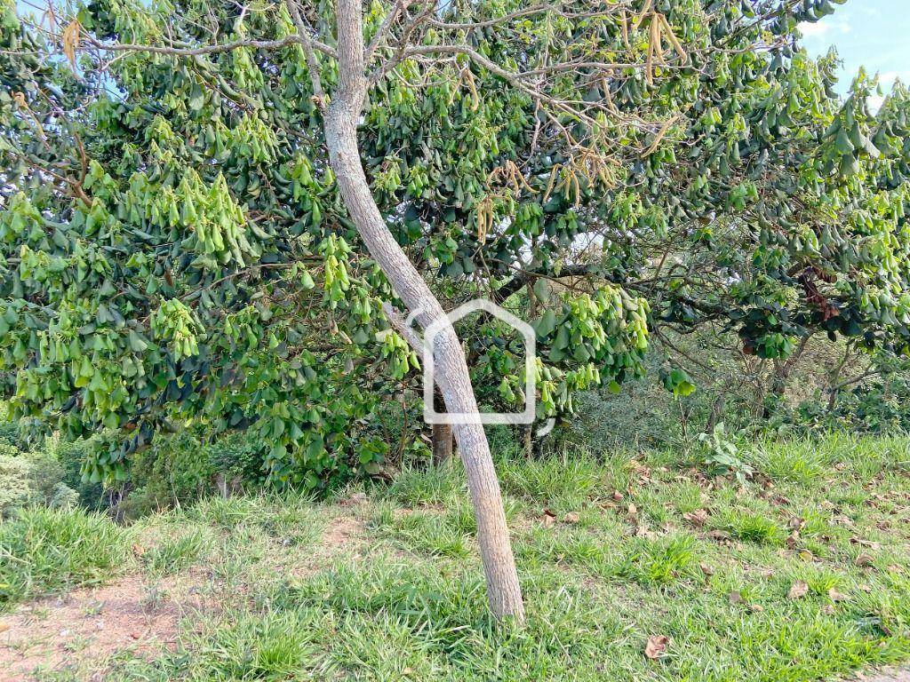 Loteamento e Condomínio à venda, 898M2 - Foto 5