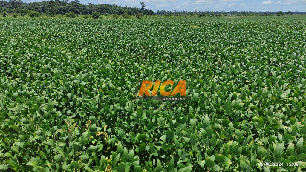 Fazenda à venda, 11780000M2 - Foto 3