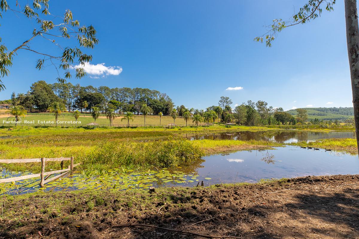 Fazenda à venda com 3 quartos, 133100m² - Foto 18