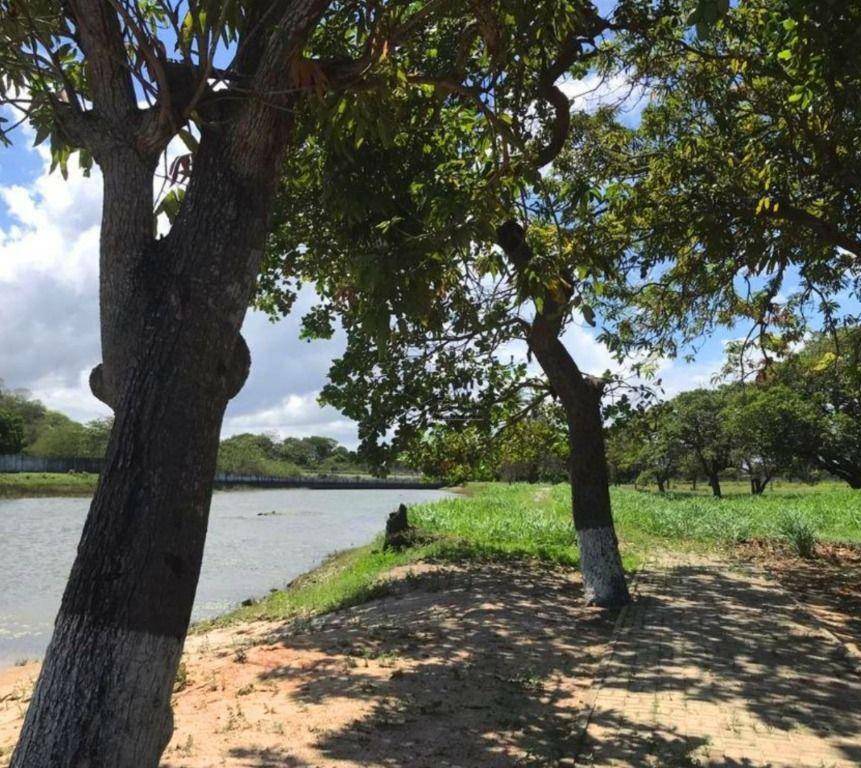 Loteamento e Condomínio à venda, 304M2 - Foto 88