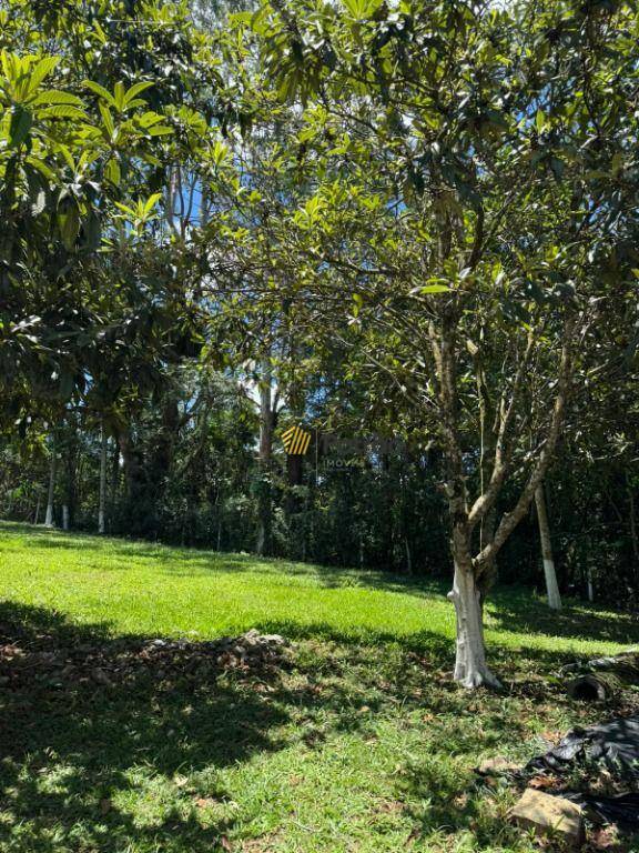 Loteamento e Condomínio, 2350 m² - Foto 3