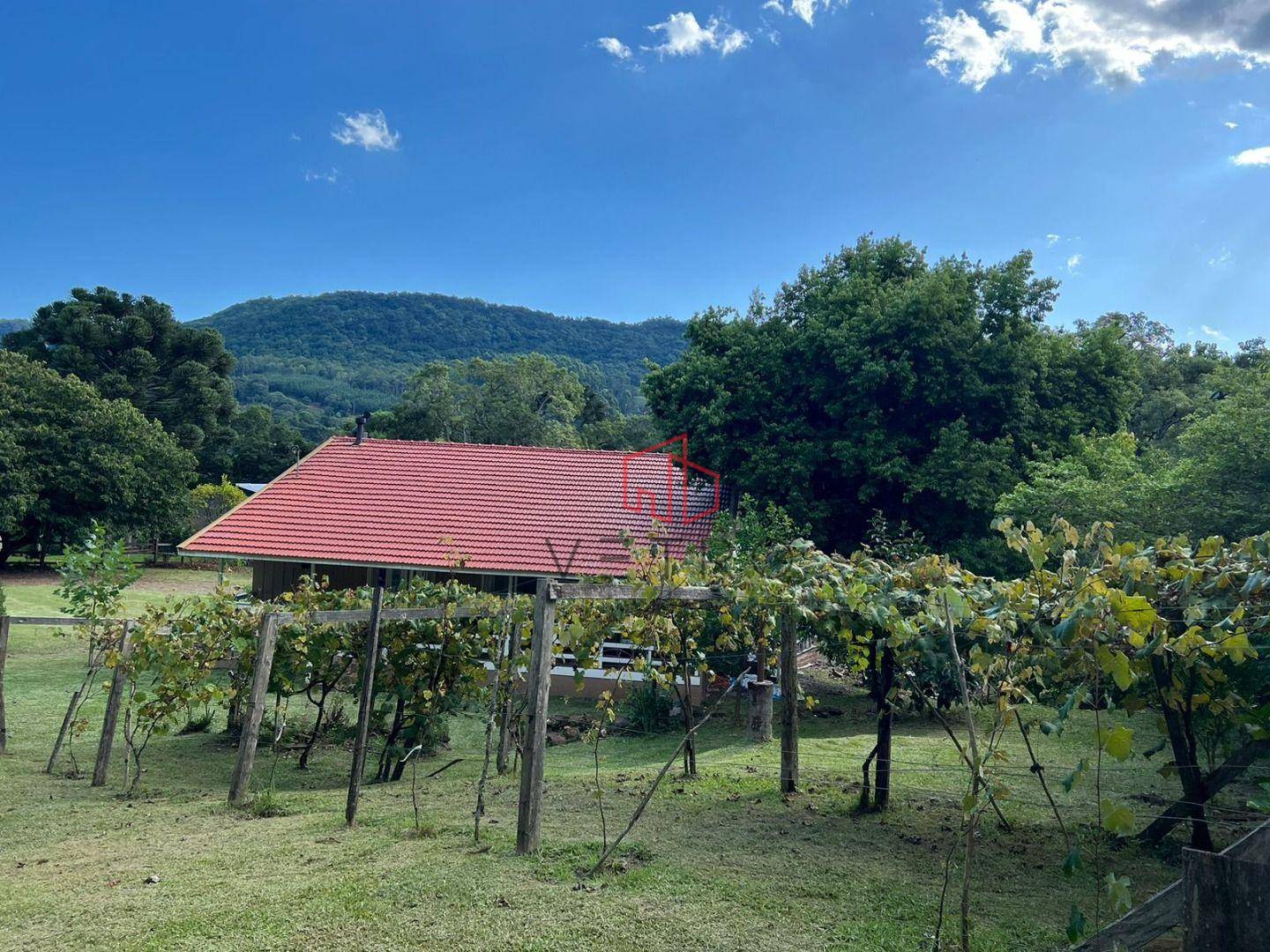 Sítio, 2 quartos, 5 hectares - Foto 5