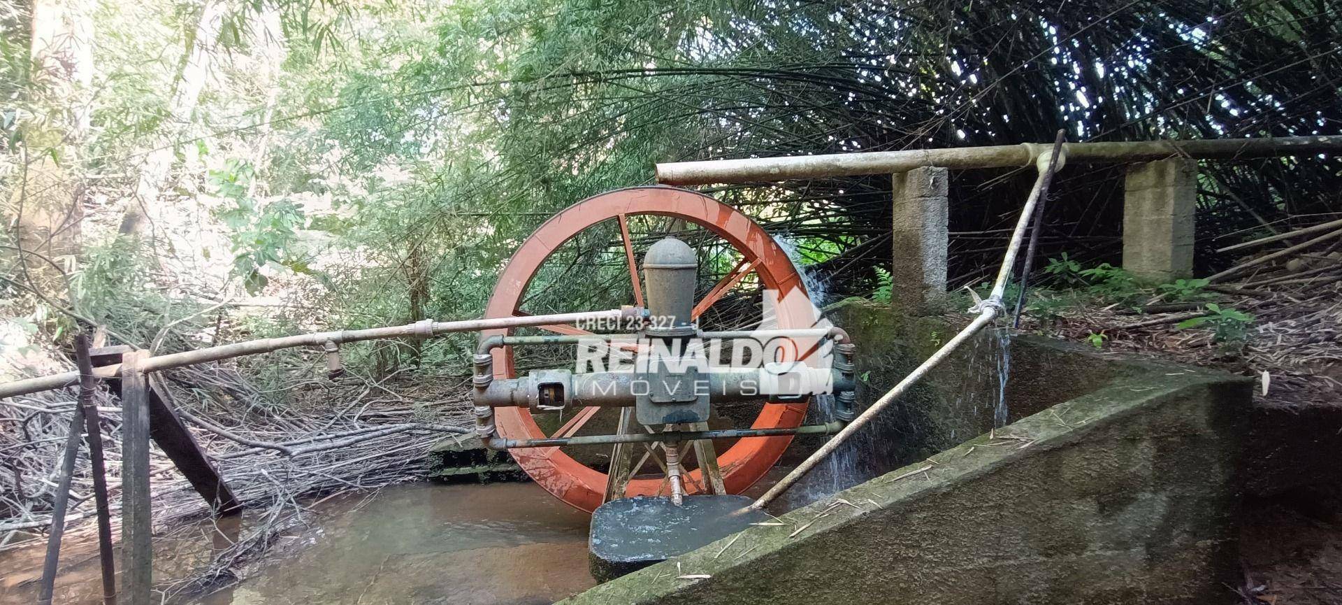 Haras e Área Rural Padrão à venda com 16 quartos, 2500m² - Foto 197