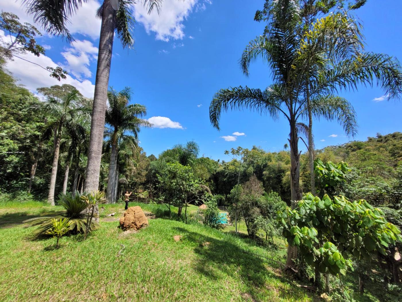 Fazenda à venda com 2 quartos, 10m² - Foto 21