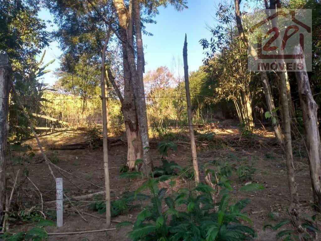 Terreno à venda, 1000M2 - Foto 3