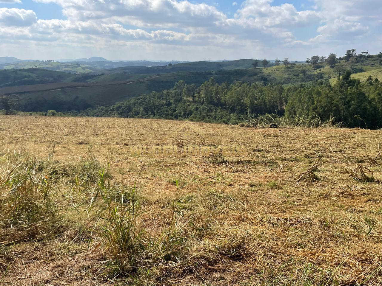 Fazenda à venda, 220m² - Foto 34