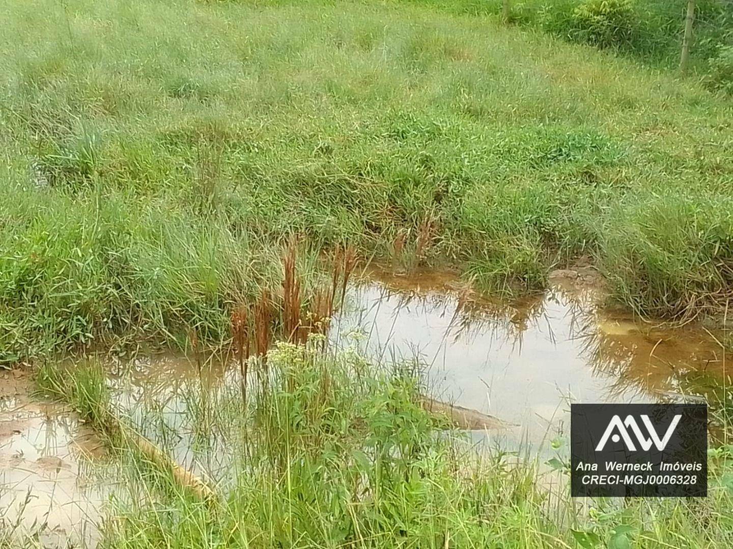 Chácara à venda com 1 quarto, 150000M2 - Foto 19