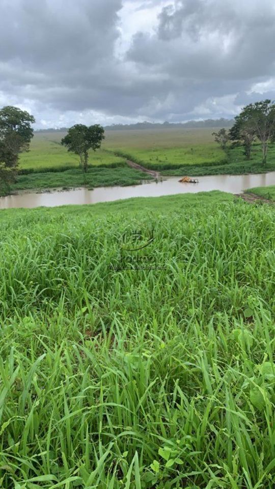 Fazenda-Sítio-Chácara, 5 hectares - Foto 3