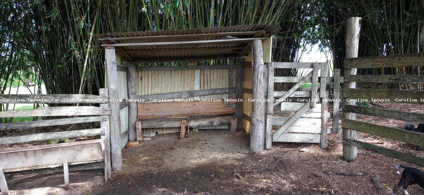 Fazenda à venda com 2 quartos, 220000m² - Foto 21