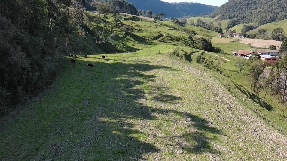 Fazenda à venda com 4 quartos, 101500m² - Foto 44