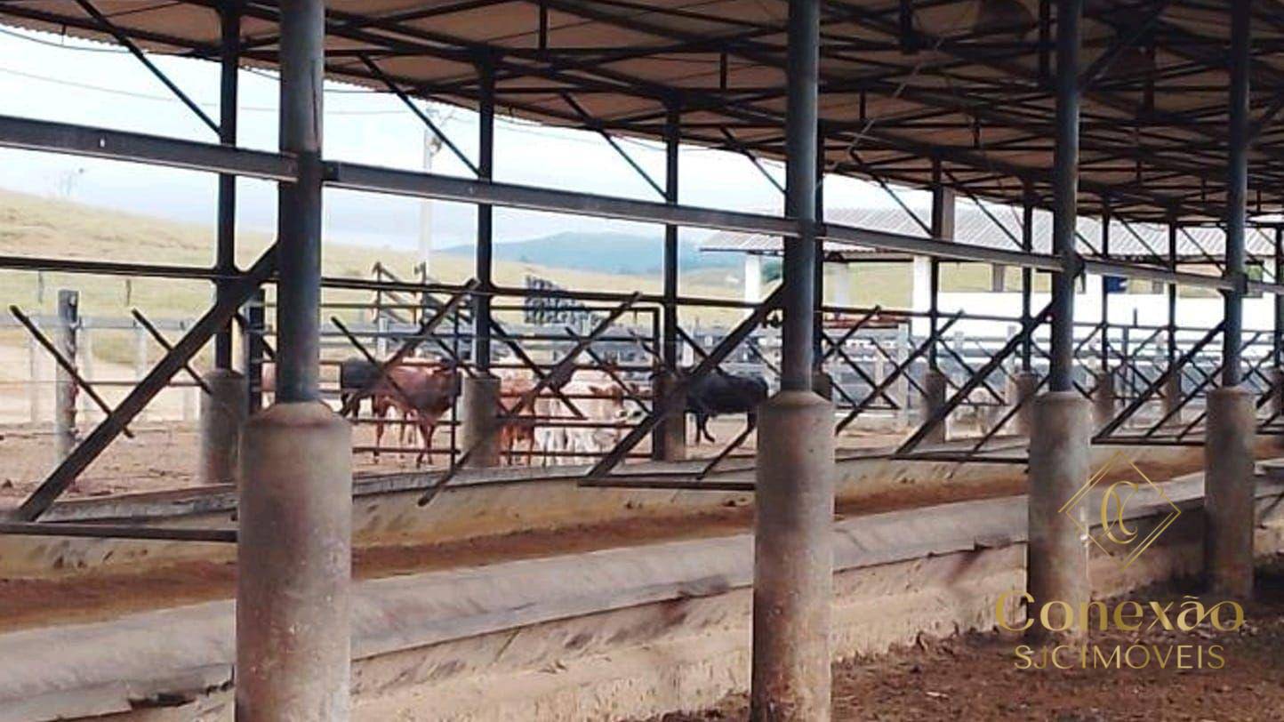 Fazenda, 257 hectares - Foto 14