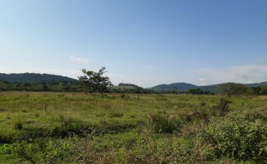 Fazenda à venda com 3 quartos, 110000m² - Foto 14