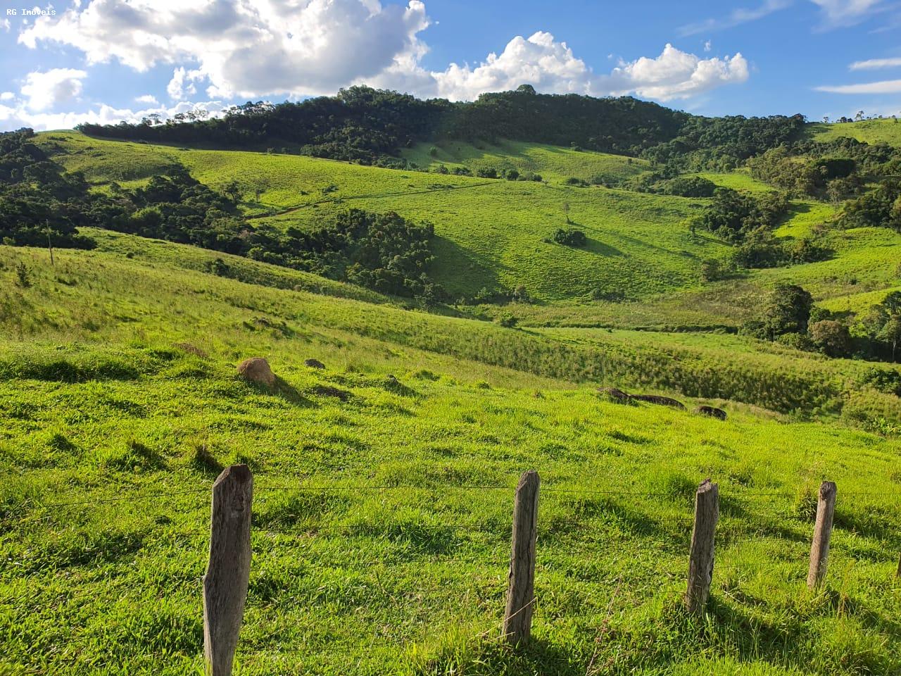 Fazenda à venda com 2 quartos, 220m² - Foto 28