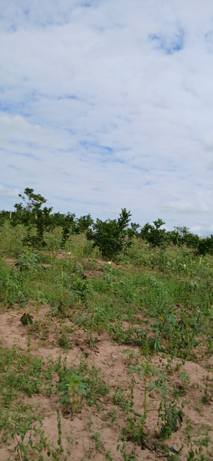 Sítio à venda com 3 quartos, 67000m² - Foto 27