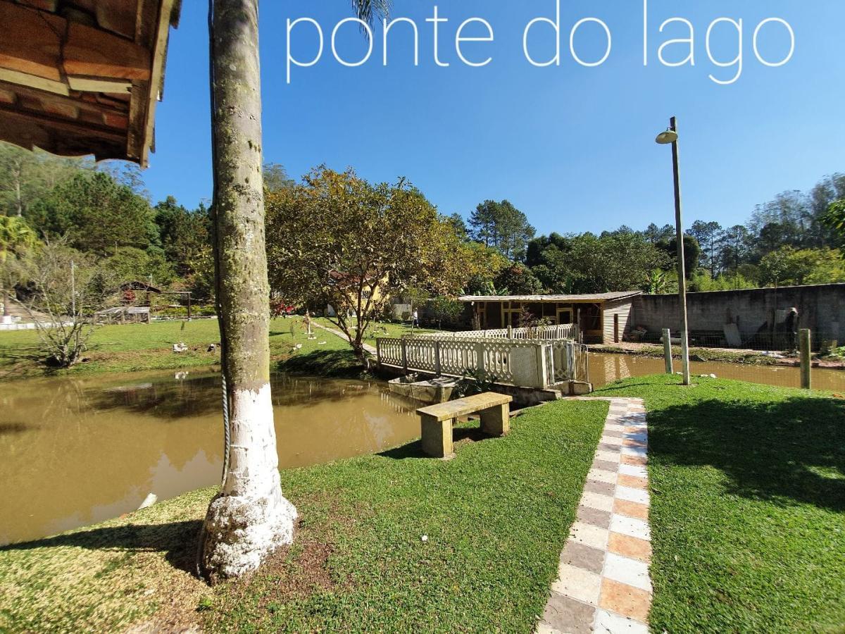 Fazenda à venda com 3 quartos, 4250m² - Foto 6