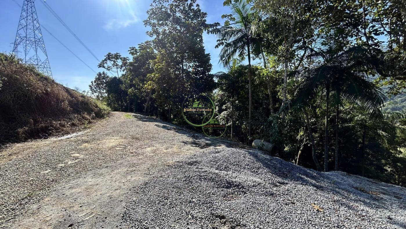 Chácara, 2 quartos, 6000 m² - Foto 3