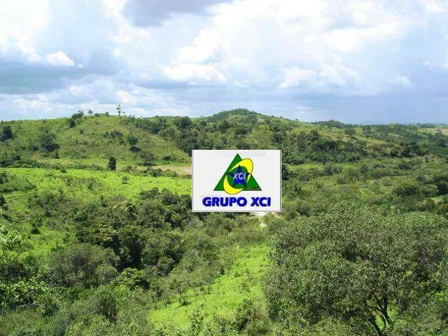 Fazenda à venda com 4 quartos, 580000M2 - Foto 9