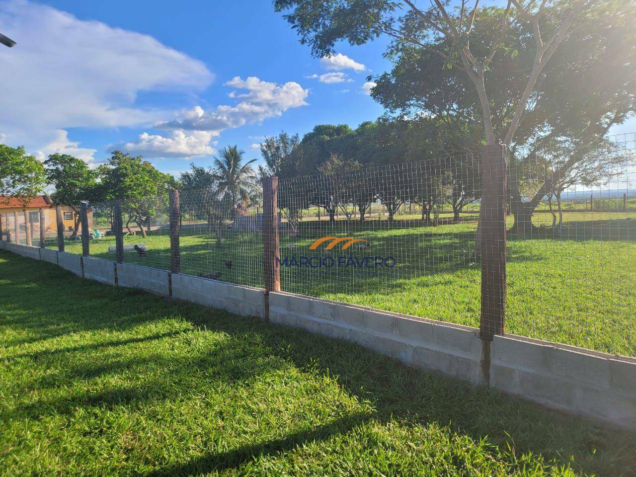 Fazenda-Sítio-Chácara, 6700 hectares - Foto 1