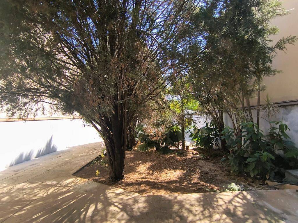 Casa, 3 quartos, 200 m² - Foto 23