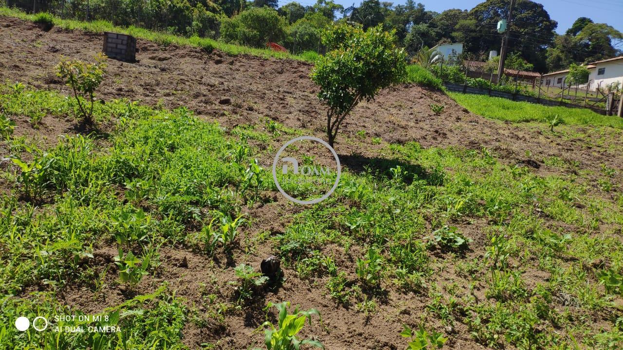 Terreno à venda, 1200m² - Foto 2