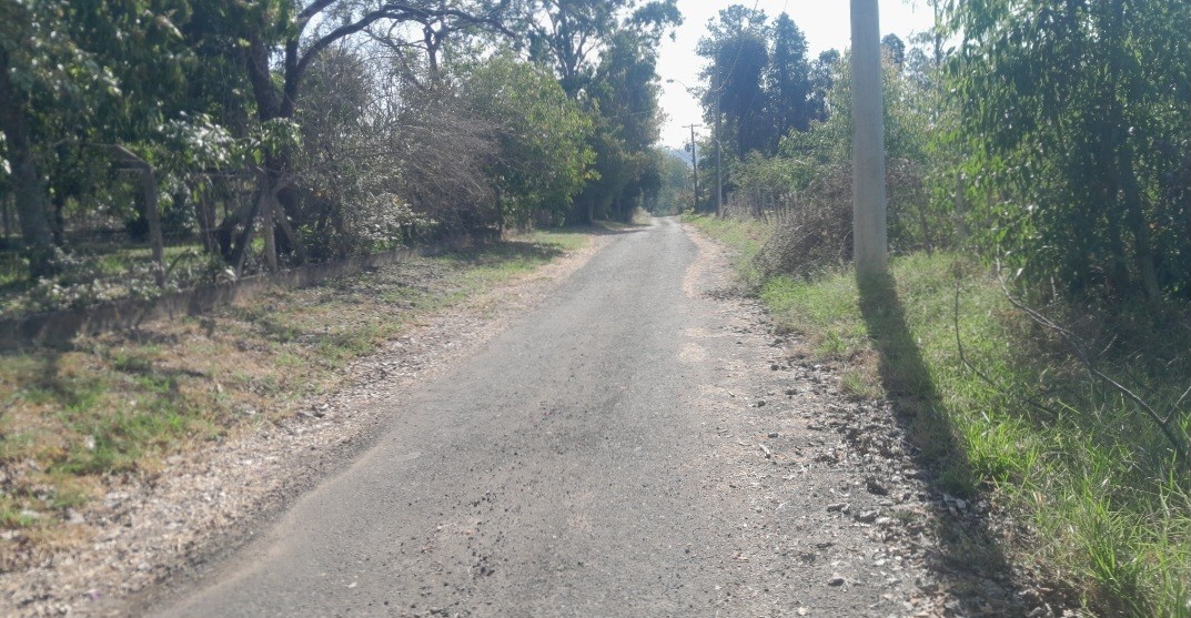 Chácara à venda, 5000m² - Foto 5