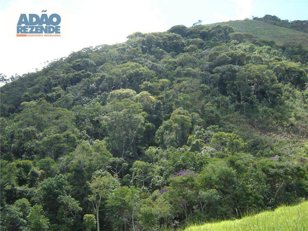 Fazenda à venda com 4 quartos, 1150000M2 - Foto 22