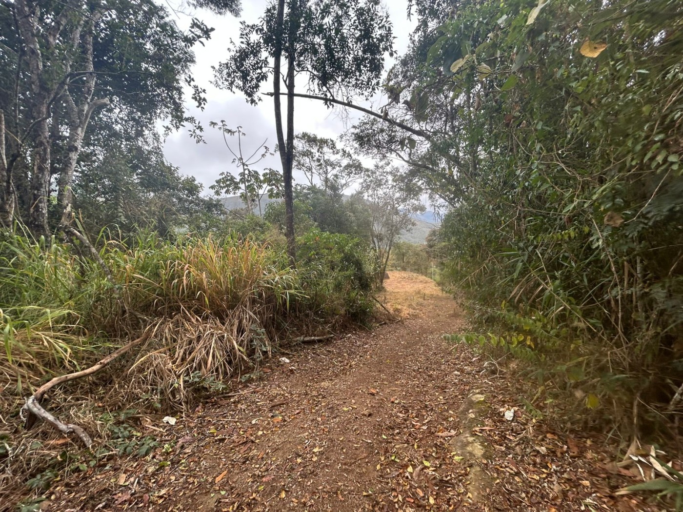 Terreno à venda, 178000m² - Foto 35