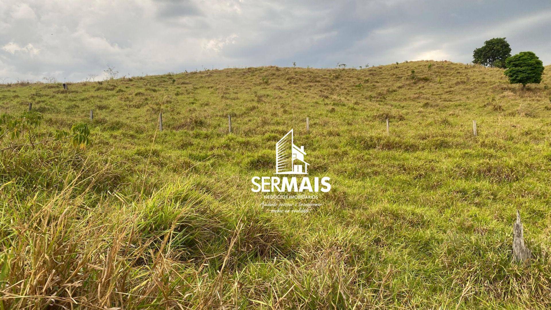 Fazenda, 4892 hectares - Foto 3