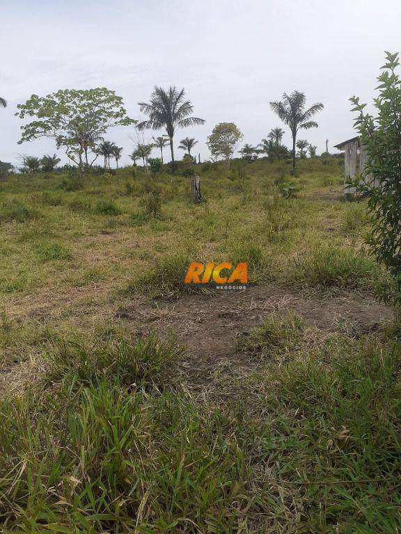 Fazenda à venda, 6500000M2 - Foto 5