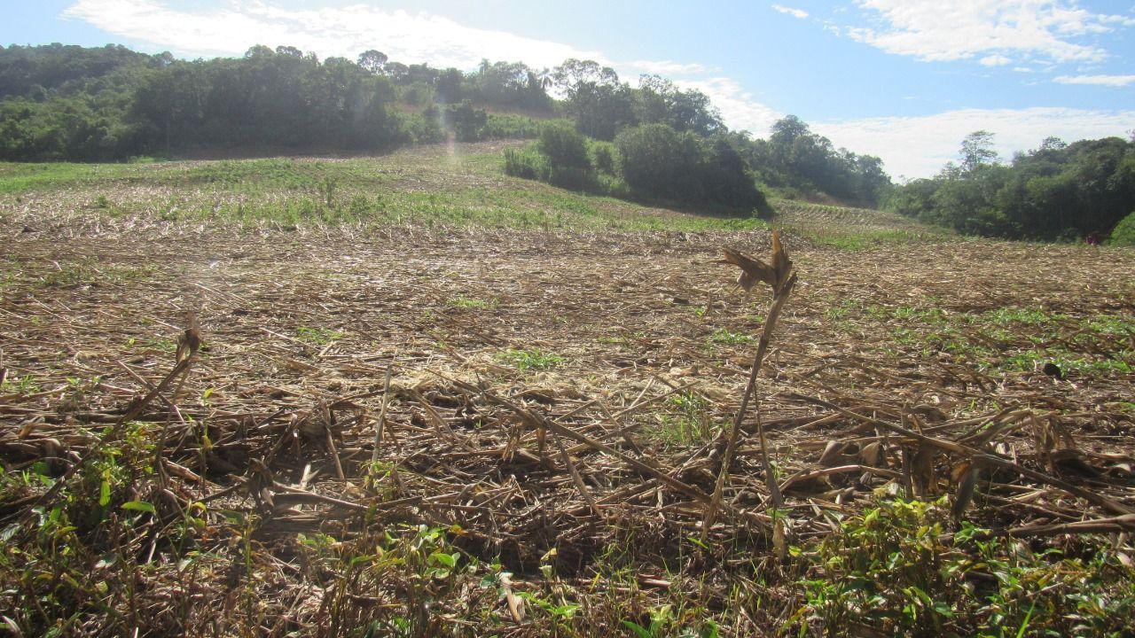 Loteamento e Condomínio à venda, 199000m² - Foto 13