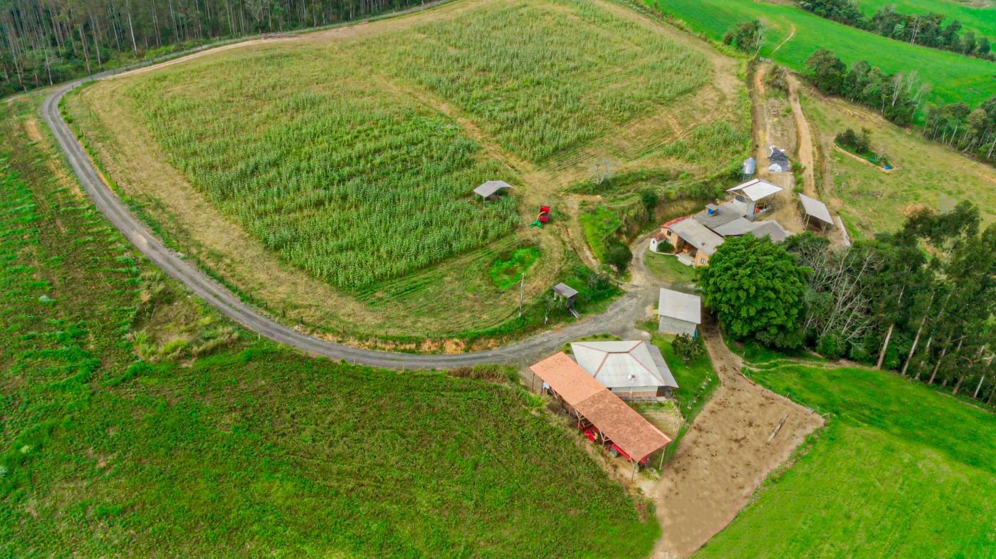 Fazenda à venda com 3 quartos, 205000m² - Foto 41