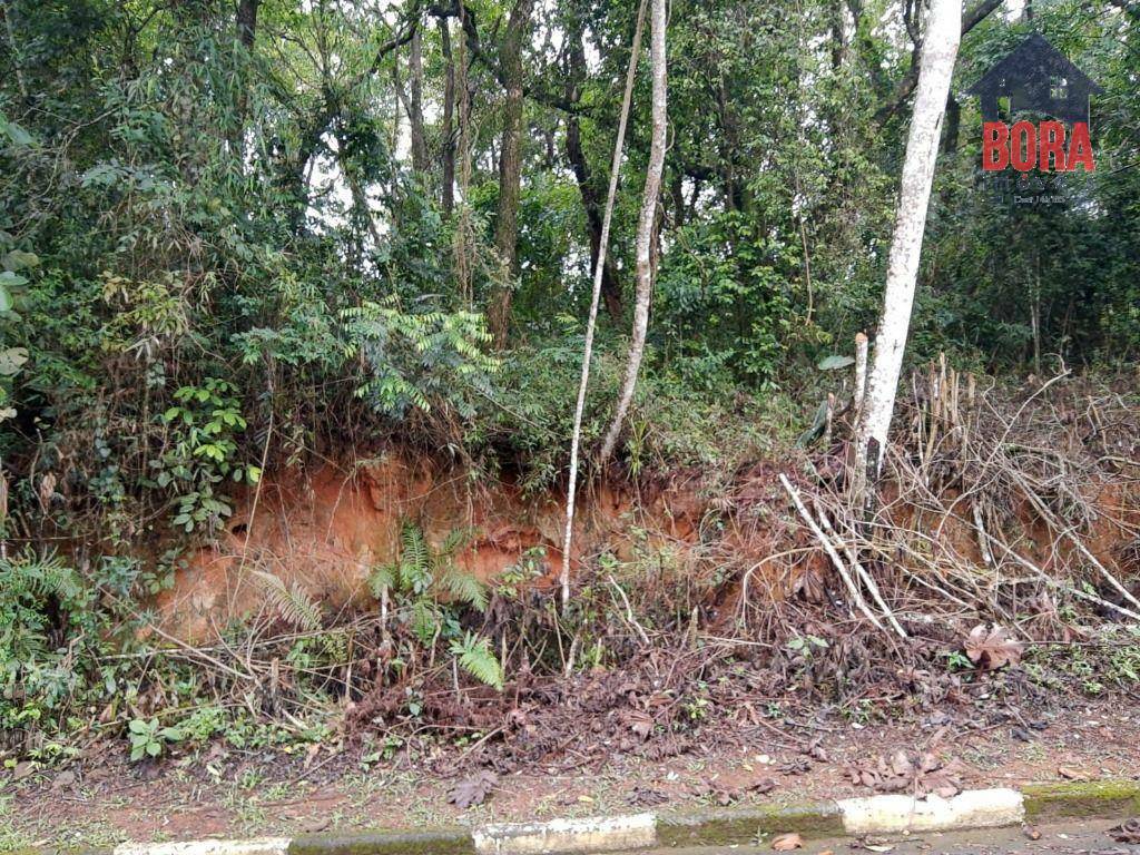 Loteamento e Condomínio à venda, 1250M2 - Foto 1