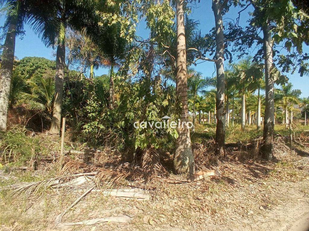 Terreno à venda, 2000M2 - Foto 3