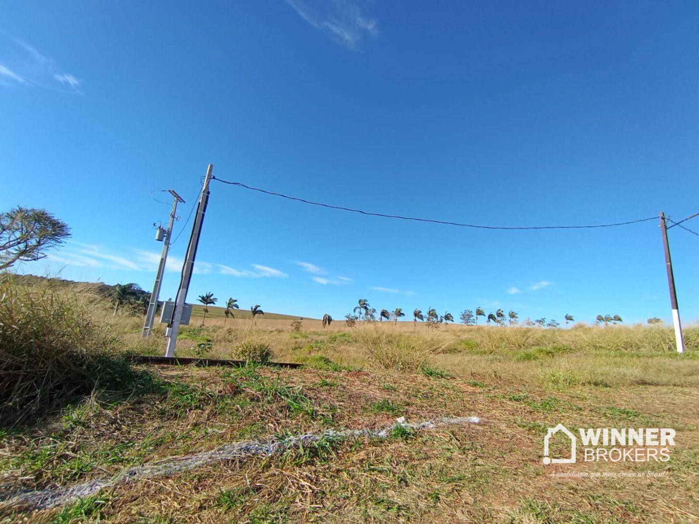 Terreno, 10000 m² - Foto 4