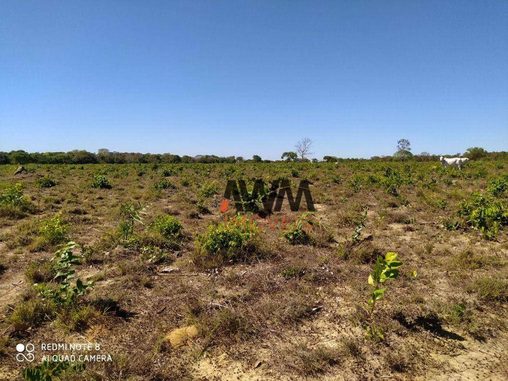 Fazenda à venda, 6921200M2 - Foto 19