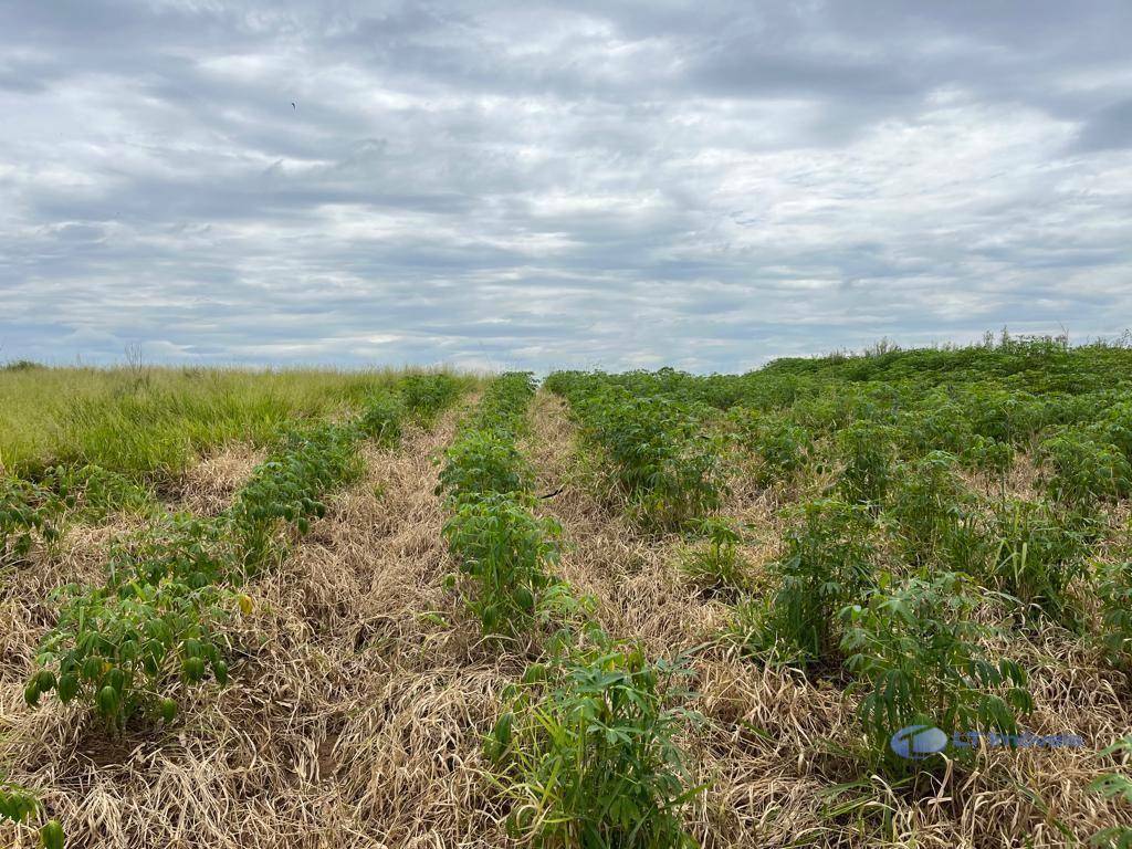 Terreno à venda, 1000M2 - Foto 12