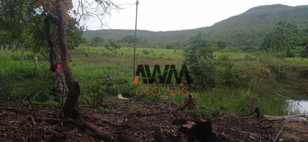 Fazenda-Sítio-Chácara, 673 hectares - Foto 4