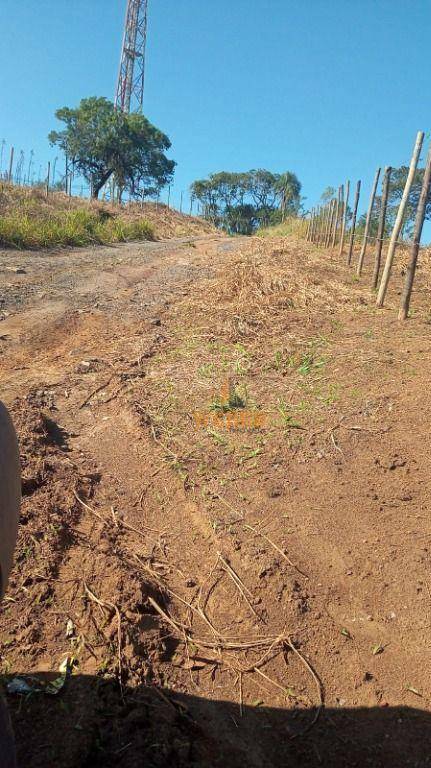 Terreno à venda, 125M2 - Foto 3