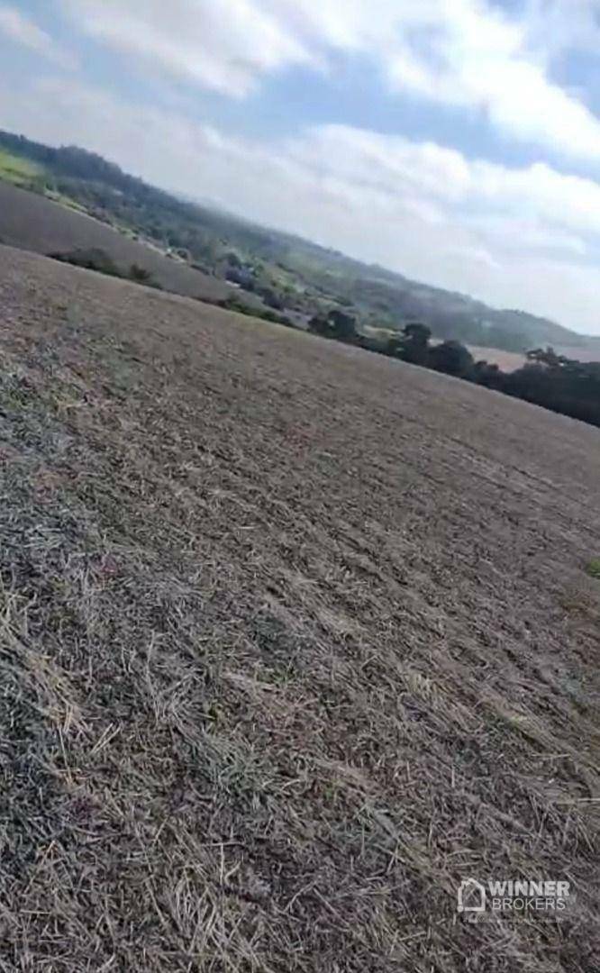 Fazenda à venda com 3 quartos, 3920000M2 - Foto 23