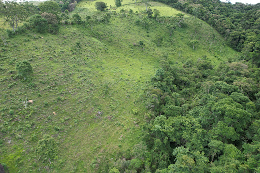 Terreno à venda, 75000M2 - Foto 10