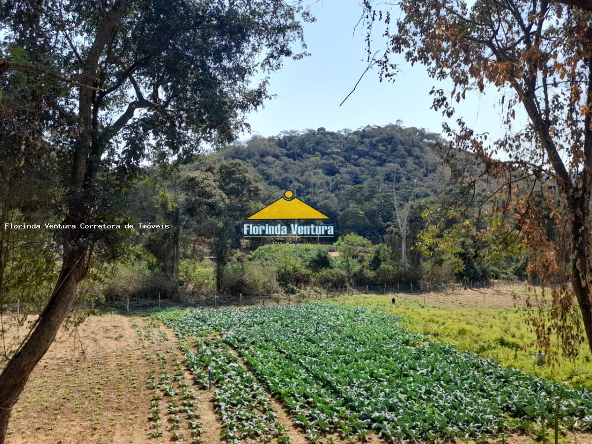 Terreno à venda, 1519m² - Foto 4