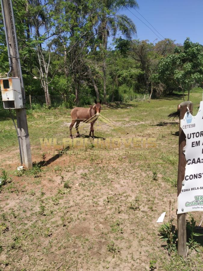 Fazenda à venda, 41000m² - Foto 16