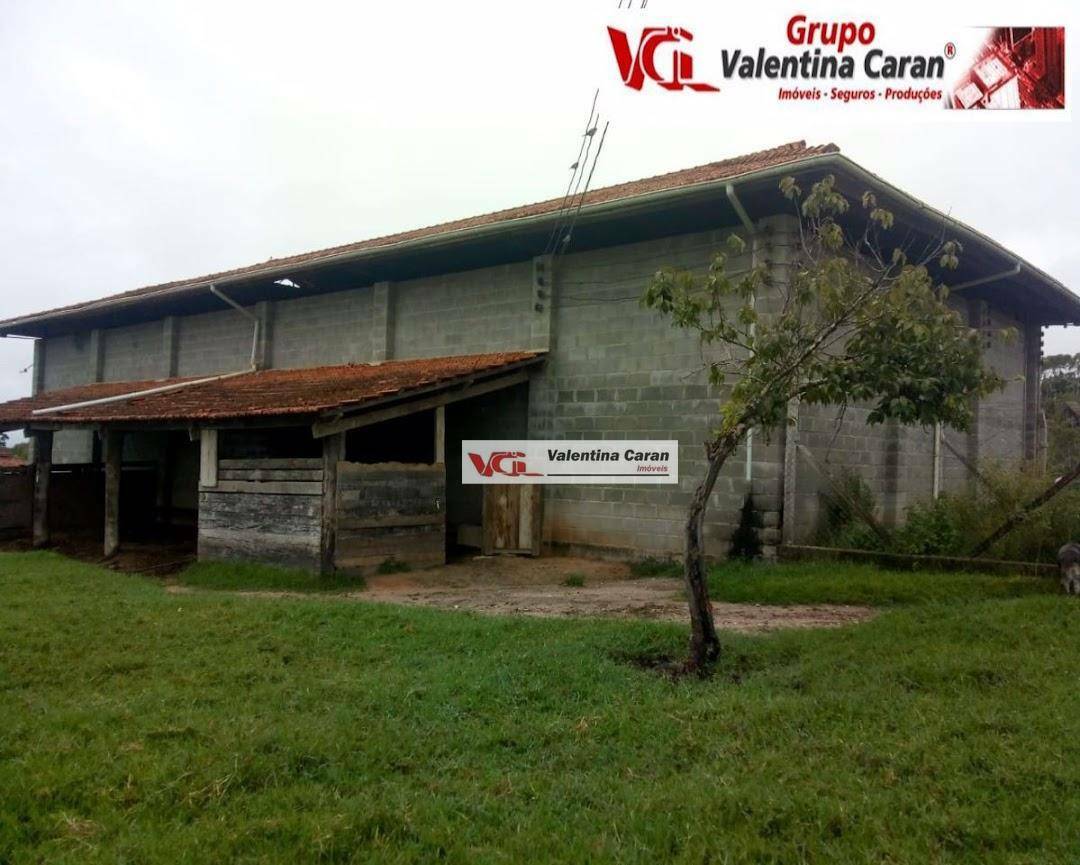 Fazenda à venda com 3 quartos, 6250m² - Foto 34