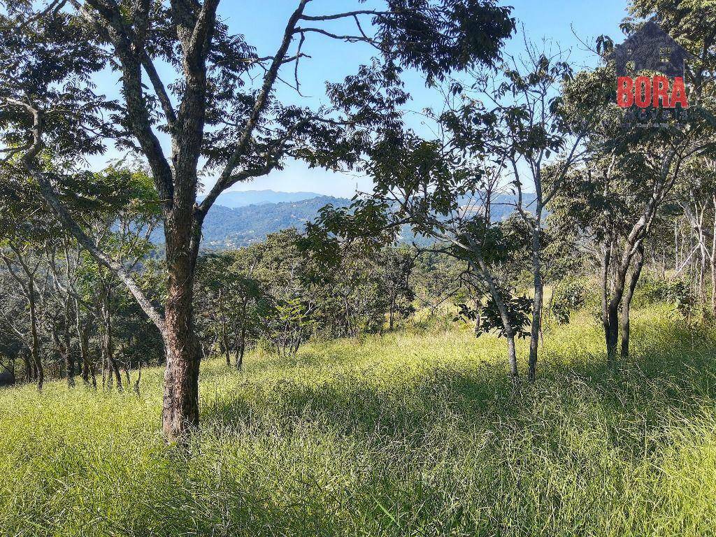 Terreno à venda, 1000M2 - Foto 4